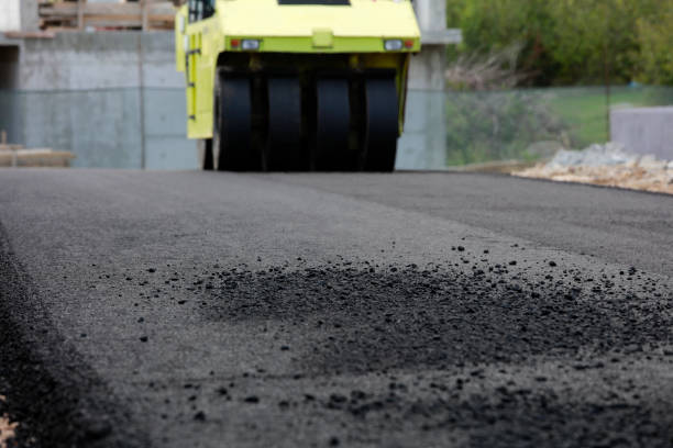Best Driveway Pavers for Homes  in Lake Placid, FL